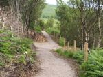 Footpath in Coille a Challtain