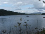 Looking up Loch Aline