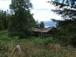 Derelict Building on site